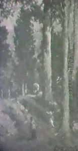 Encampment In Redwoods by Lillian M. Genth