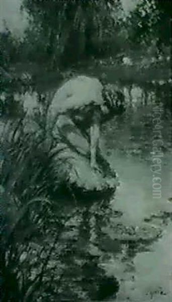 Narcissus - view 1