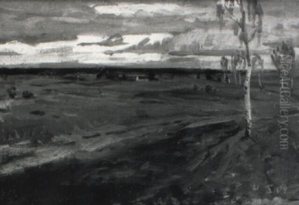 Weite Abendlandschaft Mit Birken - view 1