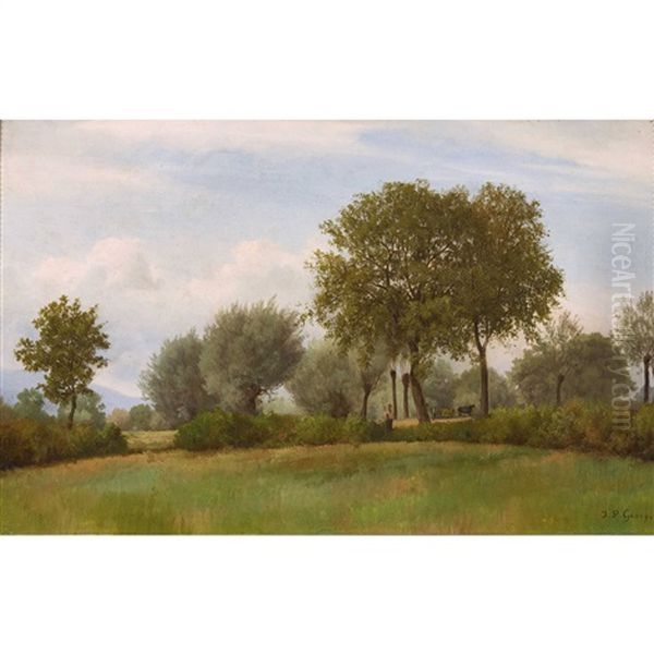 Paysage - view 1