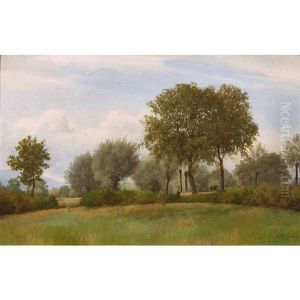 Paysage Paysage