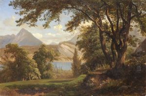 Blick Auf Den Brienzersee Und Niesen Im Hintergrund