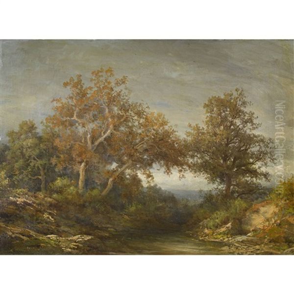 Herbstliche Bachlandschaft - view 1