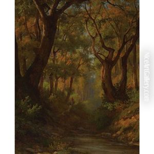 Waldweg Mit Einem Bach Waldweg Mit Einem Bach