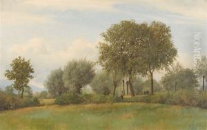 Sommerliche Landschaft Sommerliche Landschaft