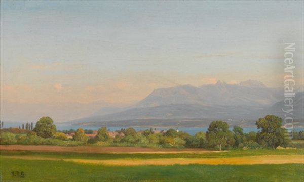 Ansicht Des Genfersees Im Sommer - view 1