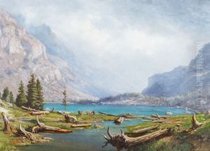 Troupeau Au Bord D'un Lac De Montagne