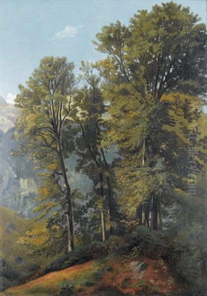 Sommerliche Gebirgspartie Mit Baumgruppe - view 1