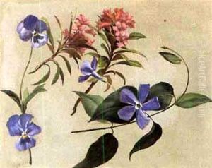 Blumenstudie Blumenstudie
