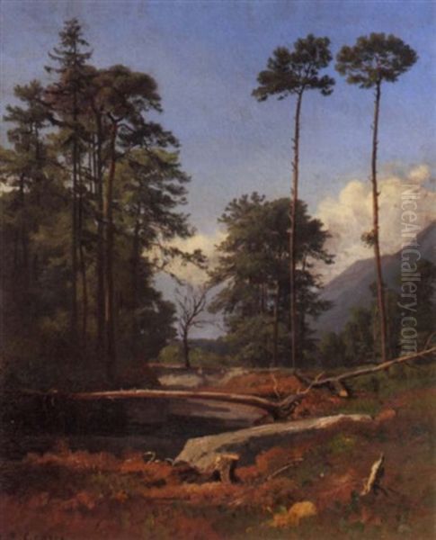 Landschaft - view 1