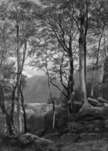Bewaldeter, Felsiger Hang Im Gebirge by Jean Philippe George-Julliard