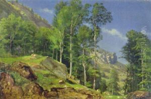 Sommerliche Bergwald