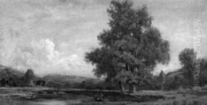 Teich Und Baumgruppe In Hugeliger Landschaft