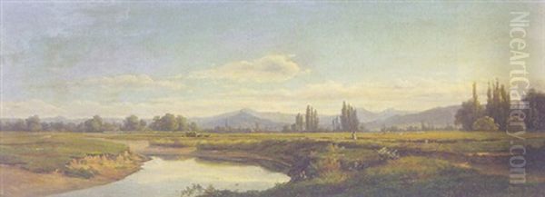Westschweizer Flusslandschaft - view 1