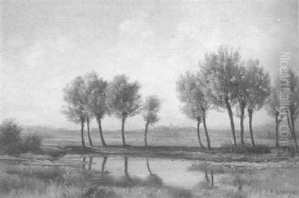 Paysage - view 1