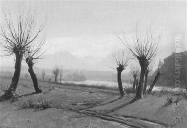 Landschaft An Der Arve Mit Kahlen Weiden - view 1