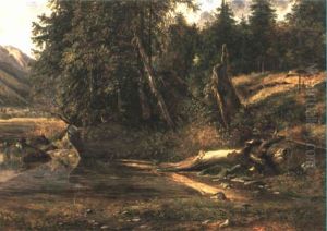 Uferlandschaft Uferlandschaft