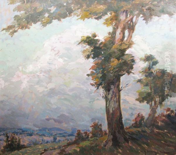 Landscape - view 1