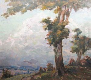 Landscape Landscape