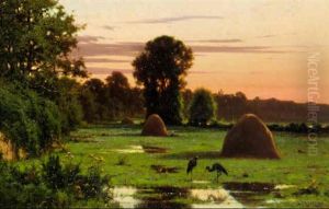 Flamants Roses Et Meules Au Petit Matin