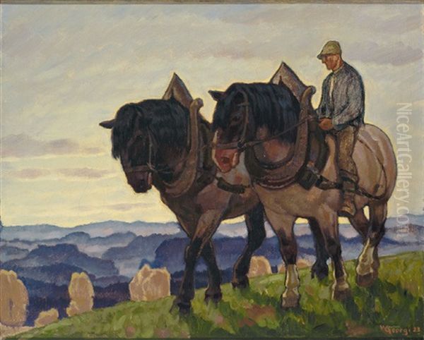 Heimkehrender Bauer Mit Zwei Pferden In Abendlicher Landschaft - view 1
