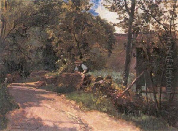 Landweg Te Gutach In Het Zwarte Woud - view 1