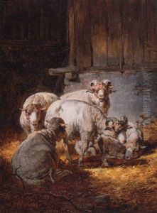 Sheep In A Barn