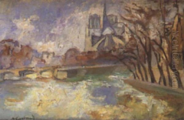 Paris, Le Chevet De Notre-dame - view 1