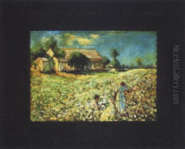 Dixie - view 1