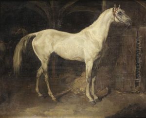 Cheval Gris Ou L'aly