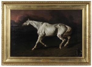 A Wounded Horse