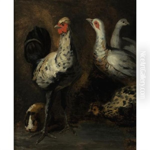 A Rooster, Three Chickens And A Guinea Pig - view 1