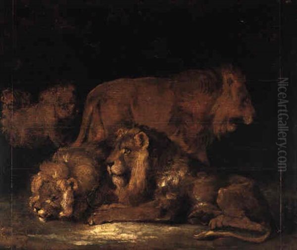 Etude De Lions D'apres P.-p. Rubens - view 1