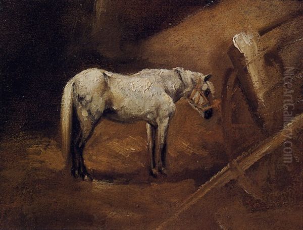 Cheval Du Platrier - view 1