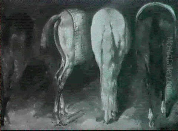 Etude De Chevaux - view 1