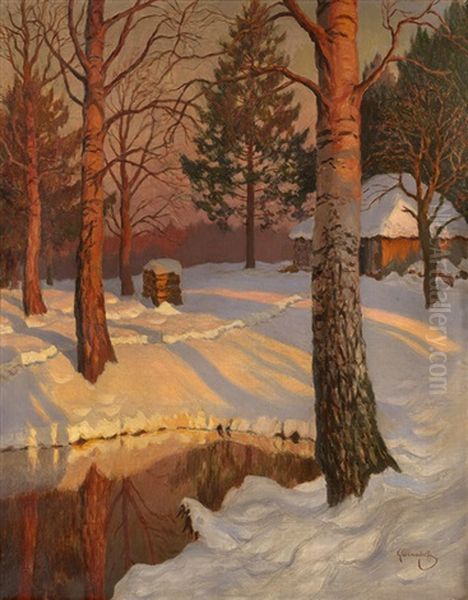 Forest In The Setting Sun - view 1