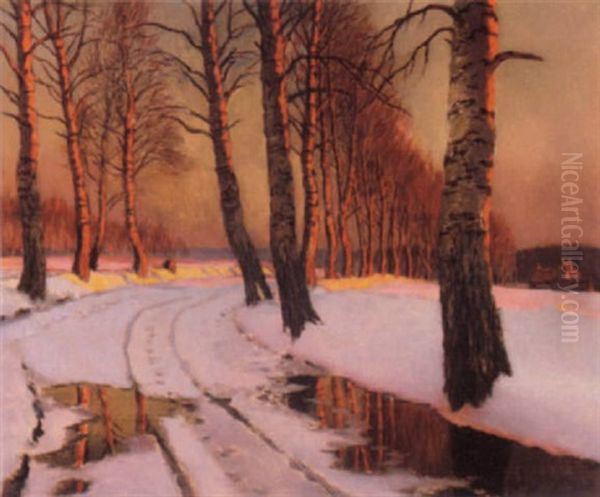 Sunset Over The Birch Trees - view 1