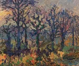Soleil D'hiver Sur Les Grands Arbres