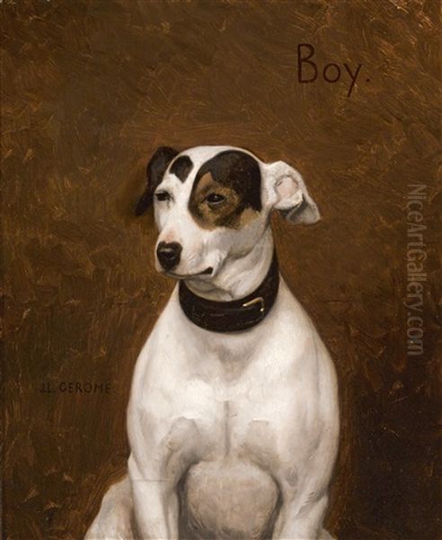 Boy - view 1