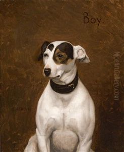 Boy