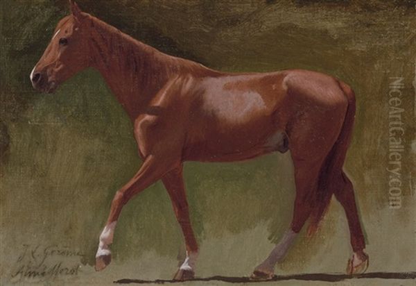 A Horse For Arabs Crossing The Desert (study) - view 1