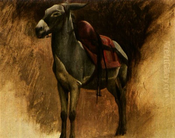 Un Ane (study) - view 1