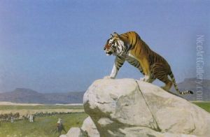 Tigre Aux Aguets (tiger On The Watch)