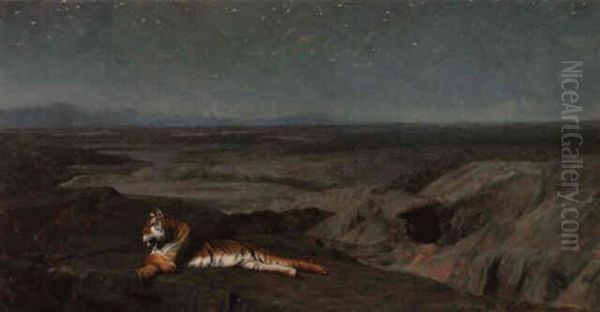 Tigre Couche, Au Clair De Lune - view 1