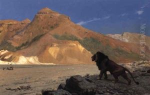 Lion Sur Une Falaise
