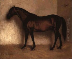 'dollar', A Bay Hunter In A Loose Box