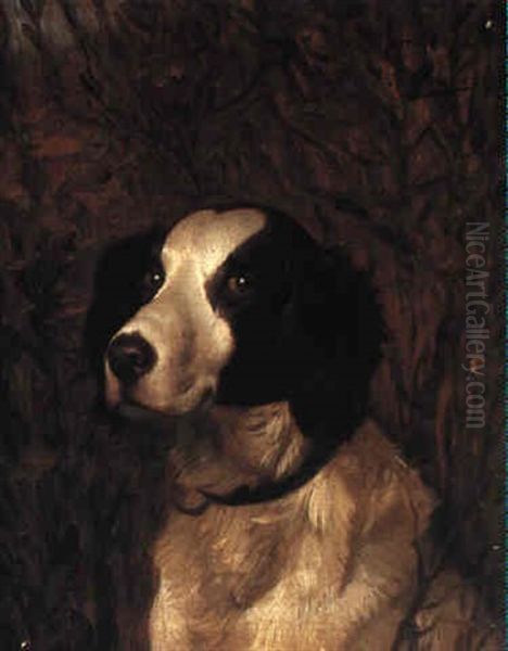 Portrait Of A Spaniel - view 1