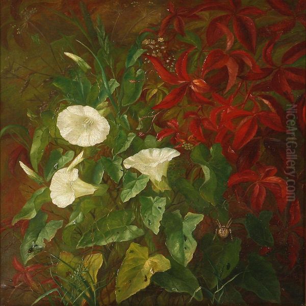 Bindweed At A Garden Wall - view 1