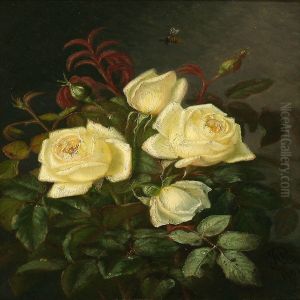 White Roses
