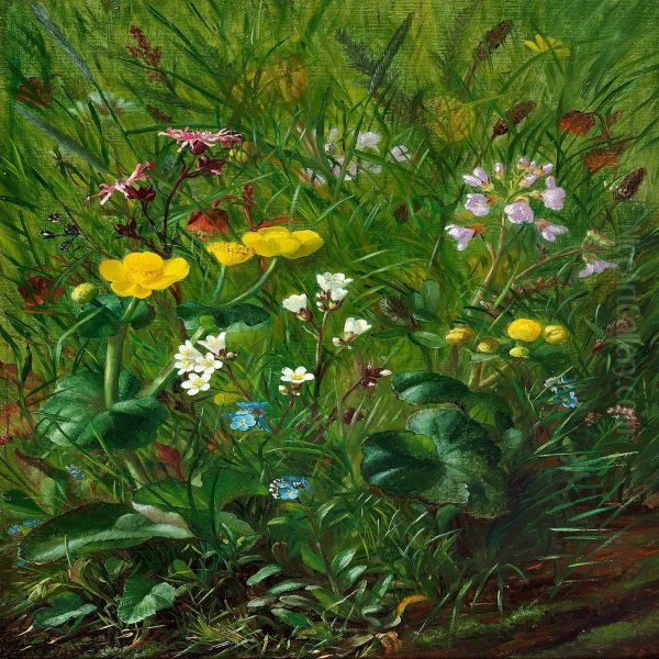 Forest Floor With Summer Flowers - view 1